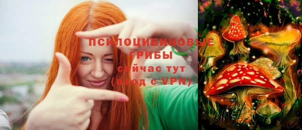 jwh Белокуриха