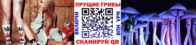 сколько стоит  гидра маркетплейс  Галлюциногенные грибы GOLDEN TEACHER  Белокуриха 